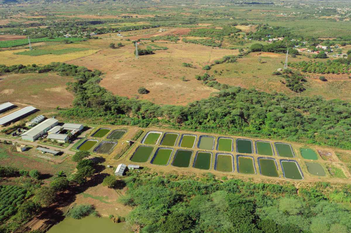 Campus Universidad ISA - 11