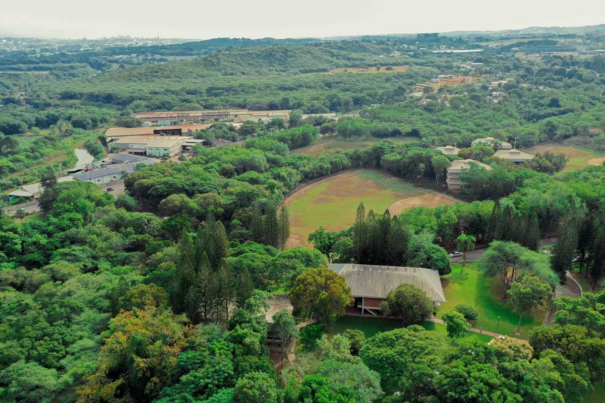 Campus Universidad ISA - 16