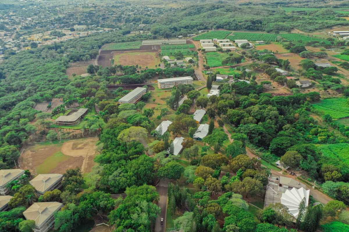 Campus Universidad ISA - 17