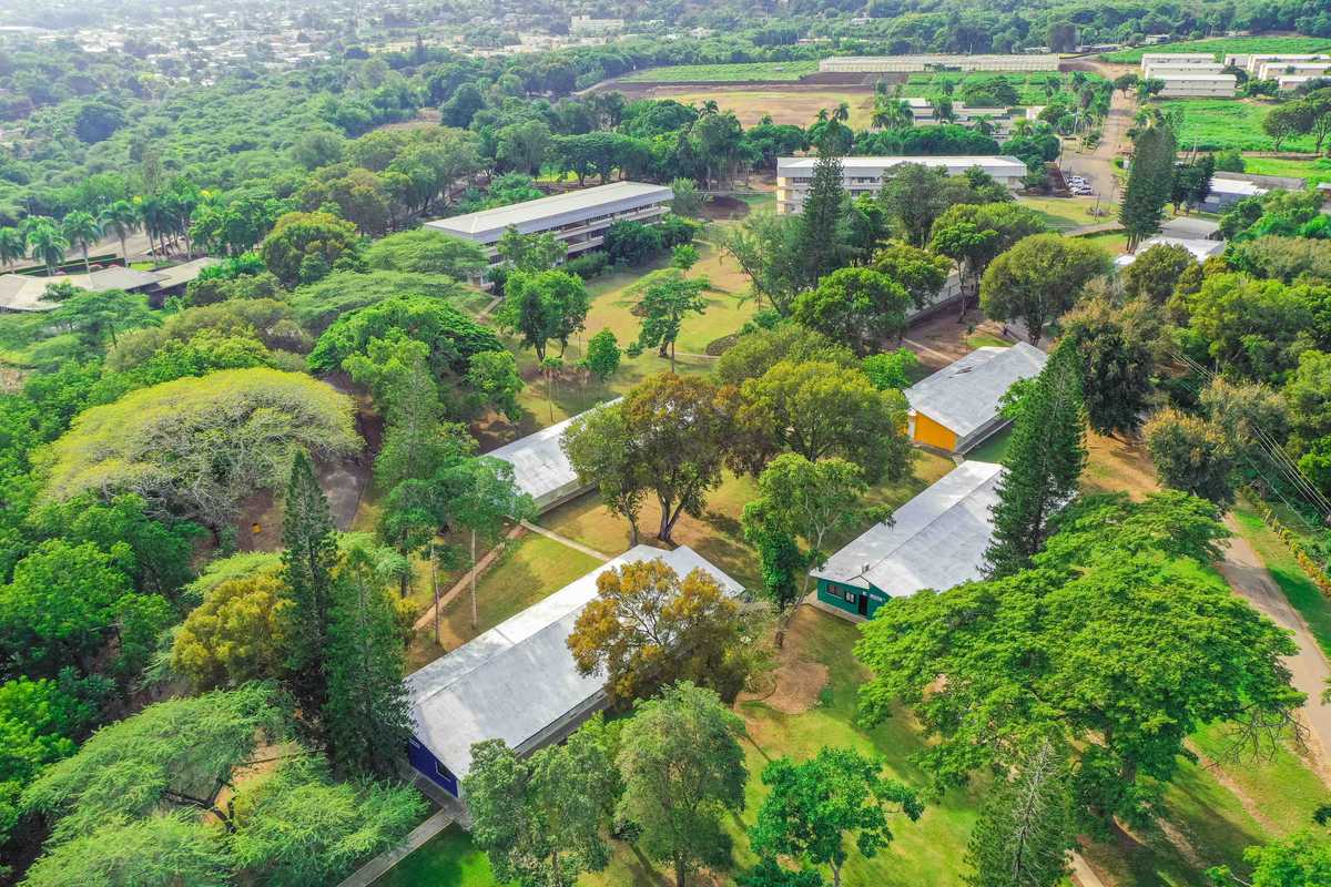 Campus Universidad ISA - 12