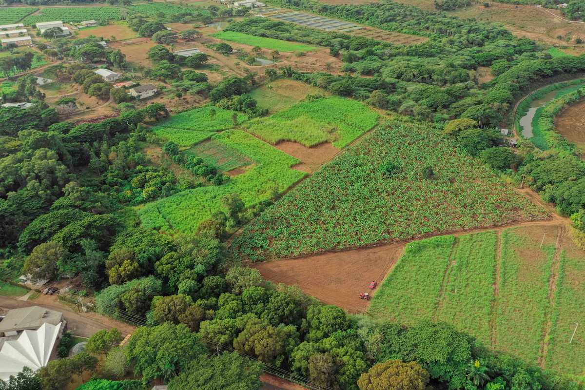 Campus Universidad ISA - 15